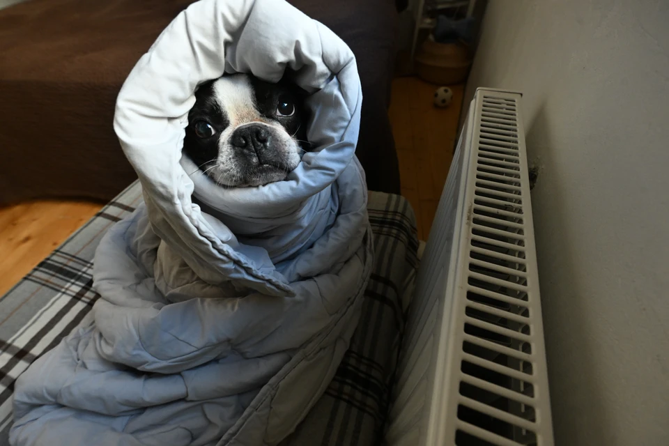 Не во всех квартирах города пока тепло.