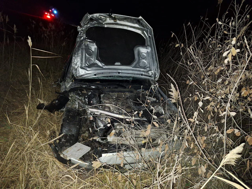 Фото: УМВД России по Омской области