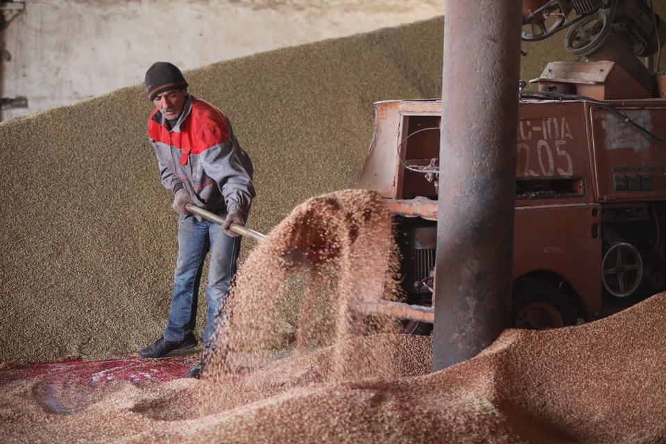 В Пермском крае обнаружили свыше 14 тысяч тонн подозрительного зерна