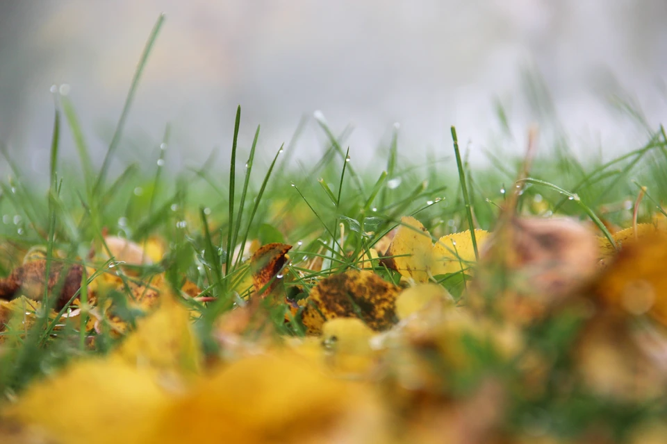 Речь идет о территории в Первомайском районе города