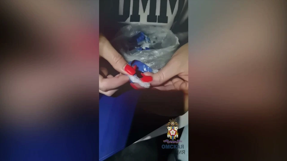 Фото: пресс-служба УМВД России по Омской области