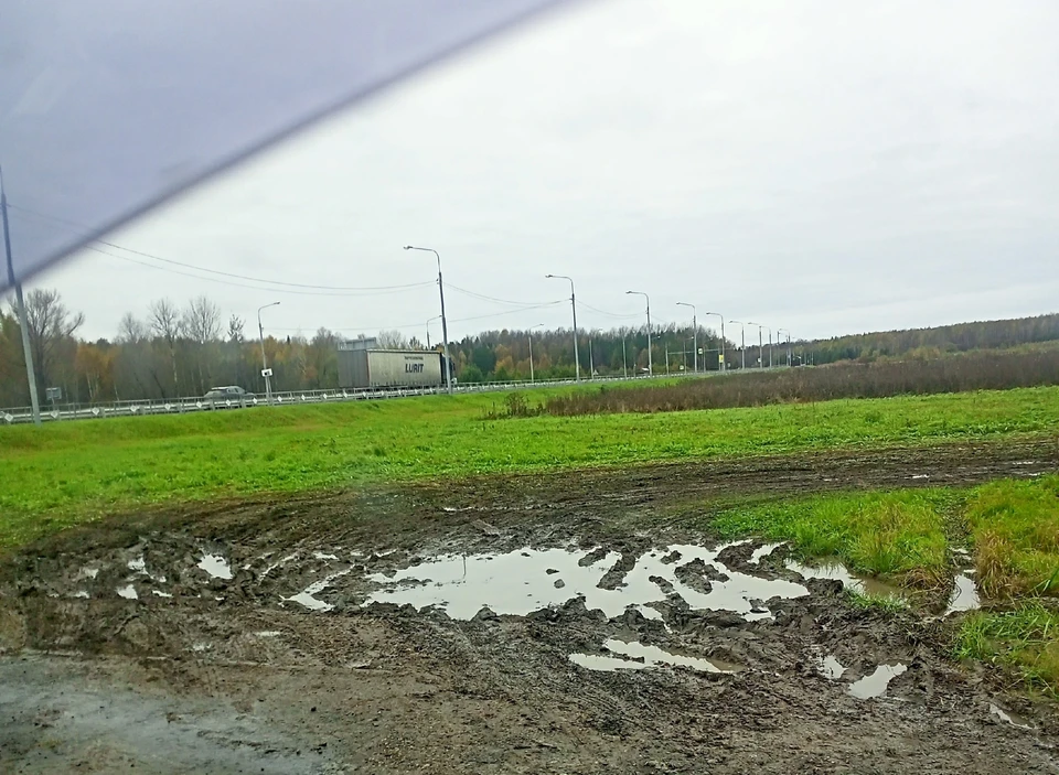 Фото: Елена Каса.