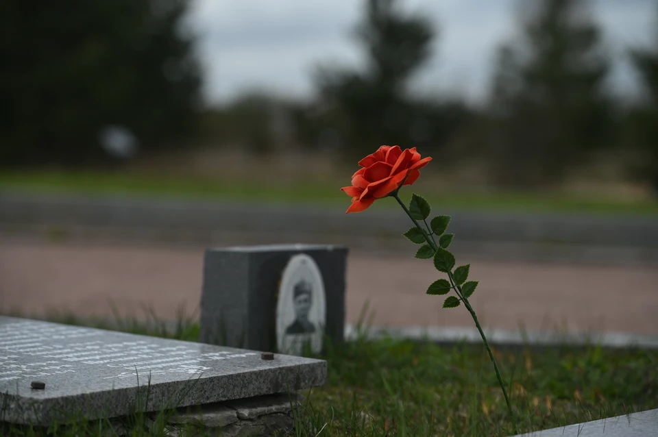 Обращение внука погибшего в годы Великой Отечественной войны бойца передали военному комиссару Тербунского района и Воловского округа.