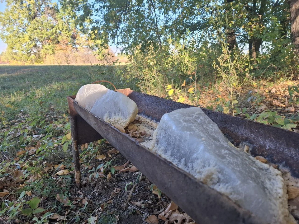 Фото: МинИнформ 64 Z