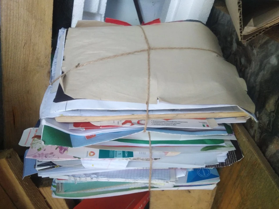 Фото Елены Федяшевой