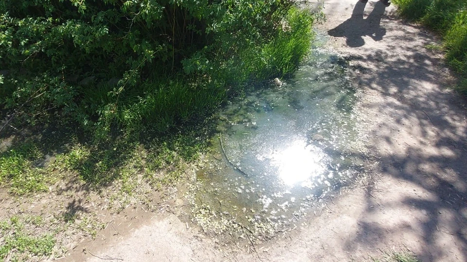 Фото: Нижне-Волжское Управление Росприроднадзора