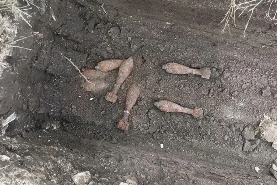 Фото: Росгвардия Кубани