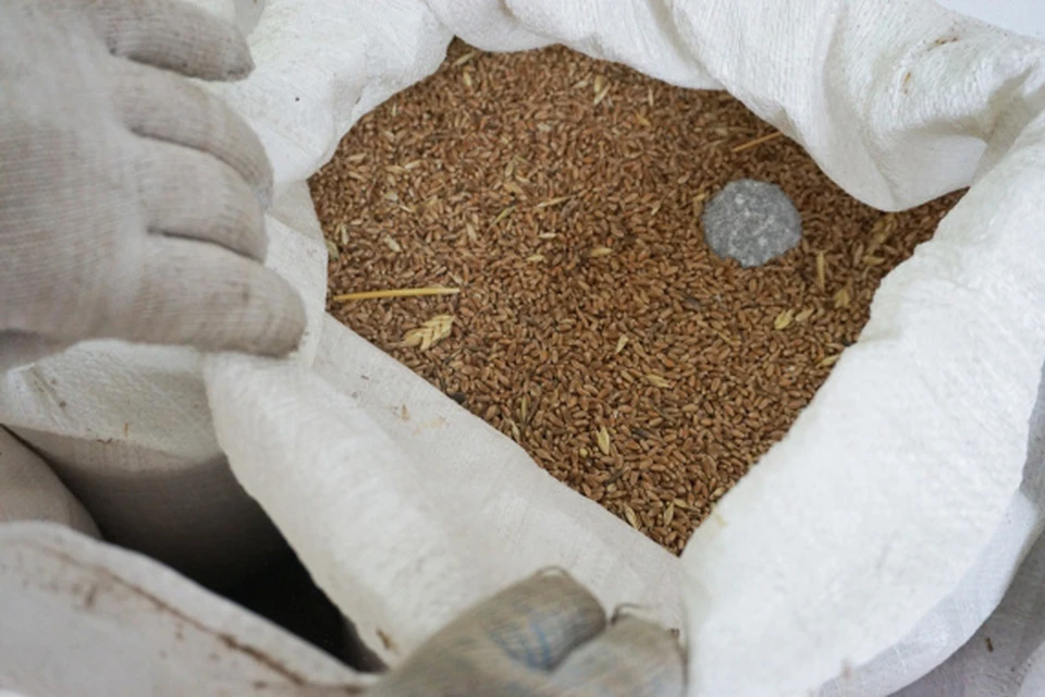 Фото правительства Белгородской области