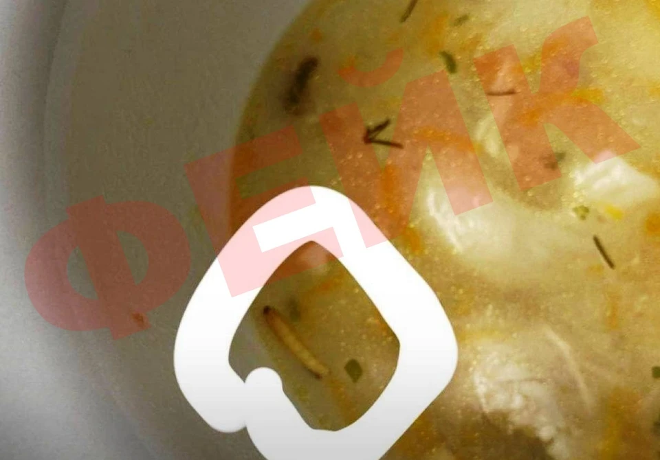 Хайп школьницы привел к жесткой проверке пищеблока в Ульяновском районе.