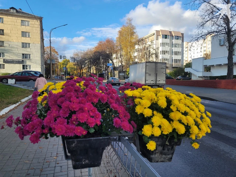 Глава Мингорисполкома назвал две новые локации, где построят места отдыха. Фото: архив, носит иллюстративный характер.