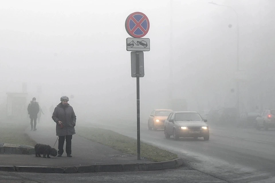 В МЧС предупредили о тумане в Подмосковье в ночь на четверг