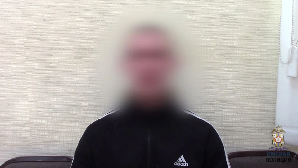 Фото: пресс-служба УМВД России по Омской области