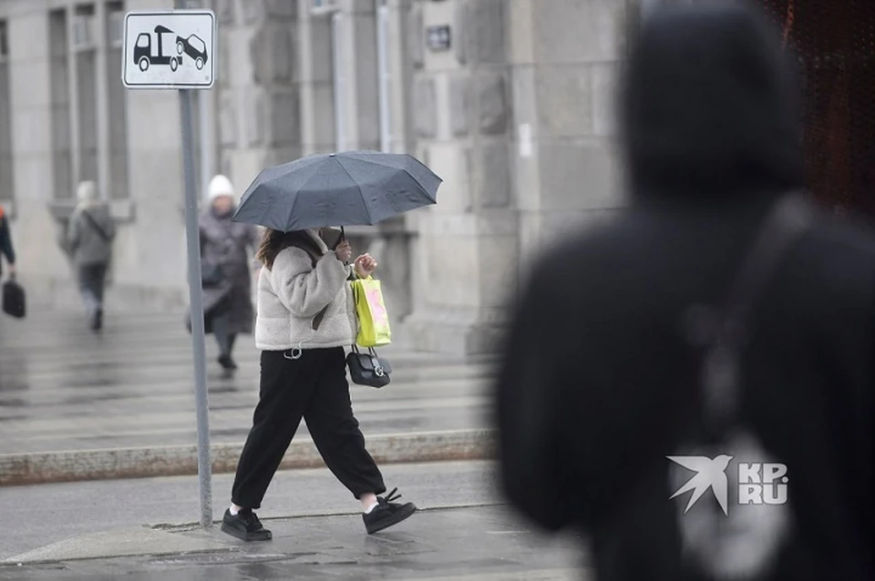 В Свердловской области пройдет дождь с мокрым снегом