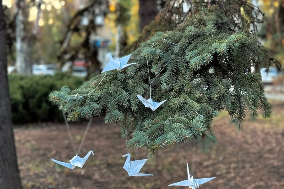 В Харцызске провели памятное мероприятие «И в белых превратились журавлей». Фото: Защитники Отечества в ДНР