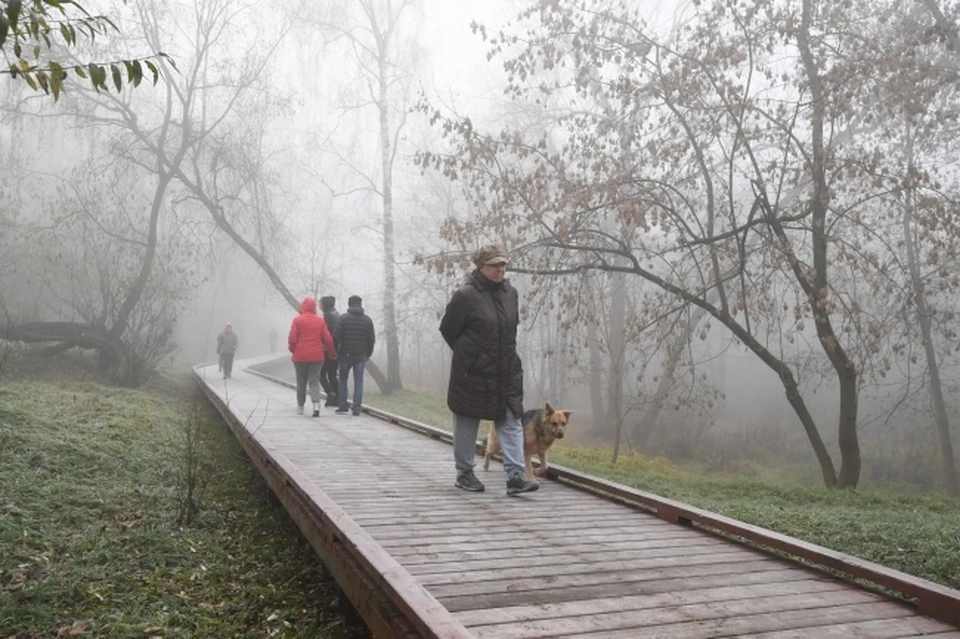 В Коми пообещали пасмурную погоду