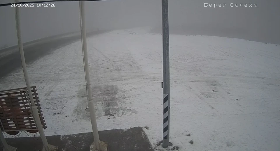 Скриншот с камеры видеонаблюдения