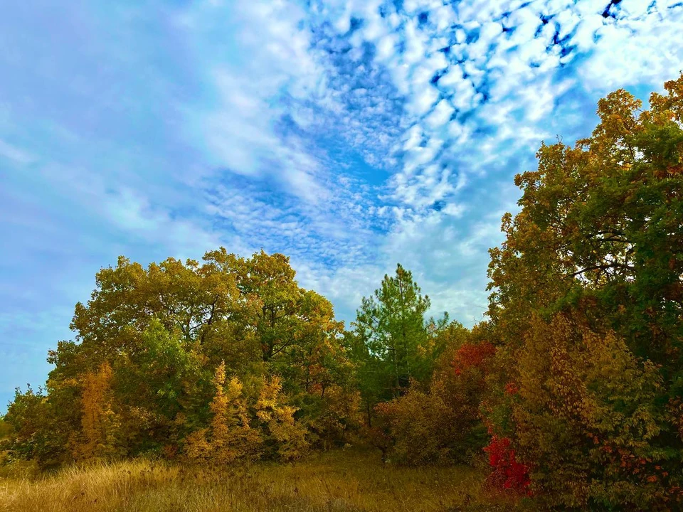 Совсем скоро погода ухудшится
