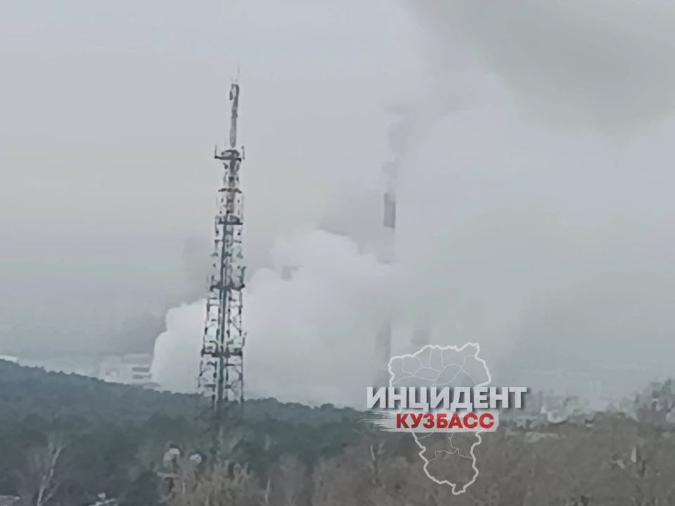 Фото: соцсети.