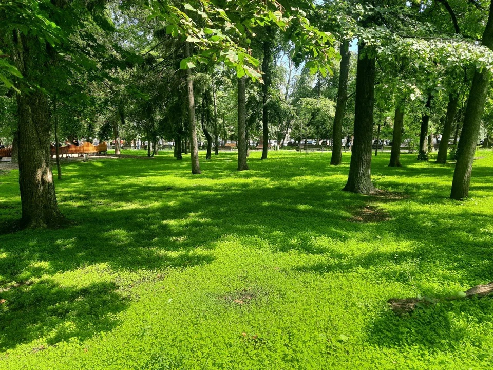 Фото: Саратовская областная Дума