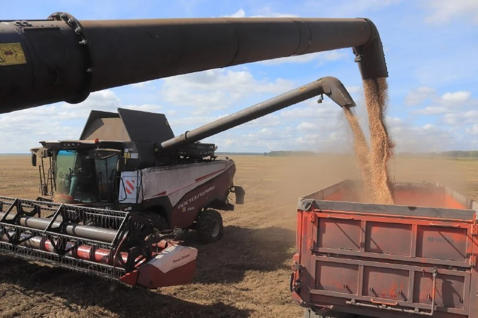 Аграрии Тюменской области соберут рекордный урожай за всю историю региона
