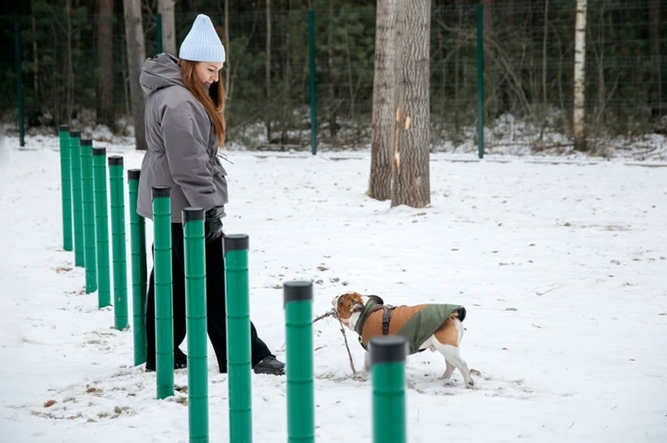 Фото: администрация Сургута