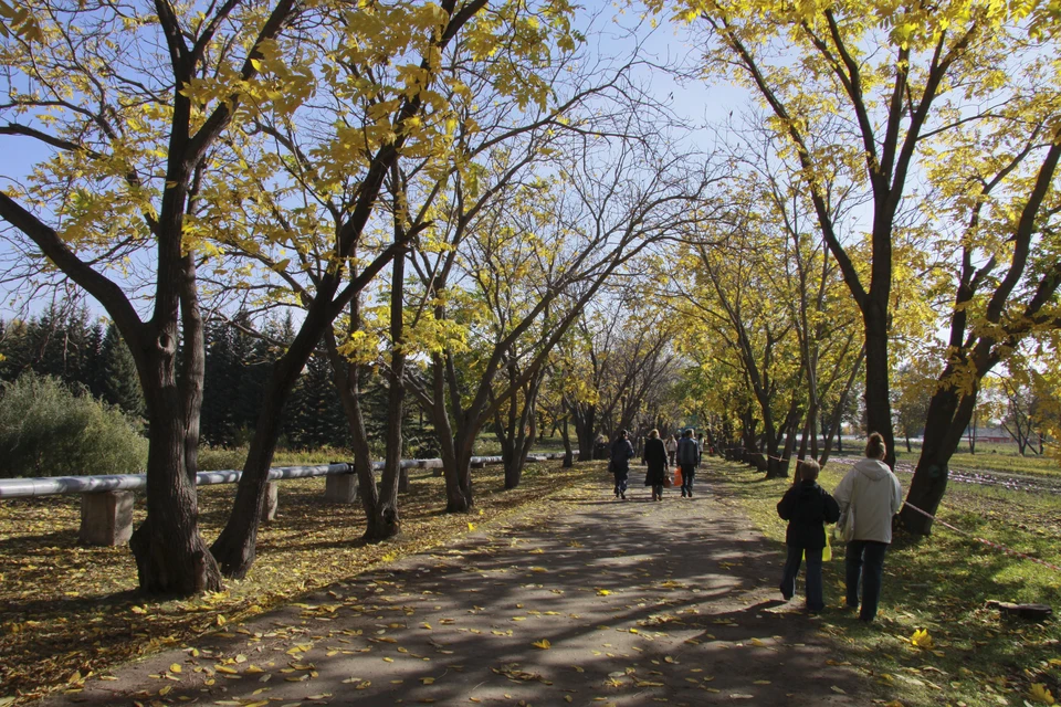 В субботу дневная температура достигнет +9...+14 градусов, в воскресенье +7...+12 градусов.