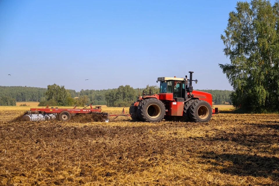 Всем нарушителям выдали предостережения. Фото архив КП