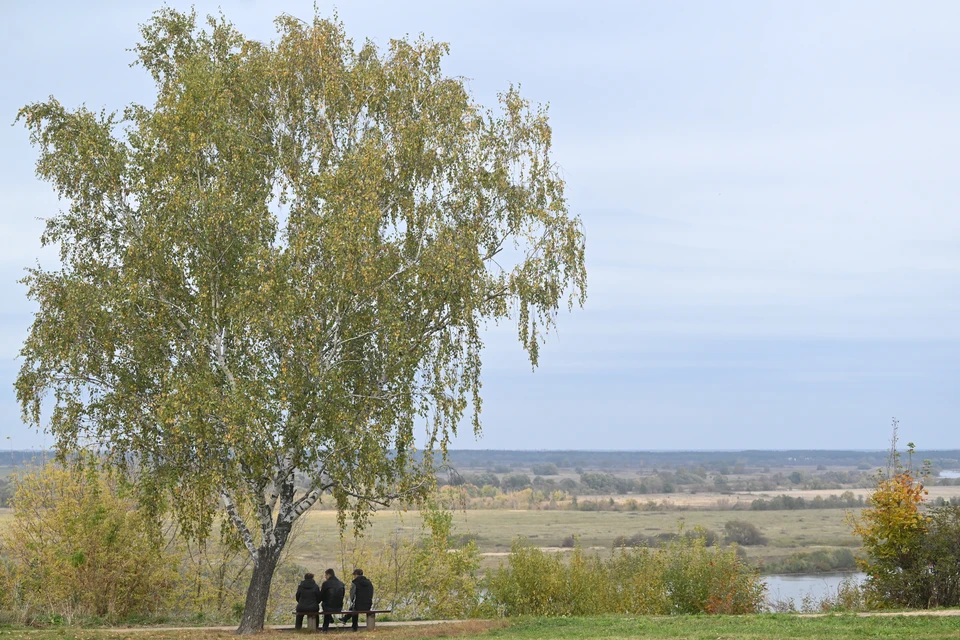 Поселок Сосновка могут убрать с карты Нижегородской области
