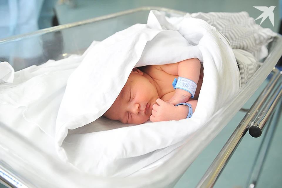 Наиболее распространенными именами в Кольском Заполярье в 2025 году стали Софья и Михаил.