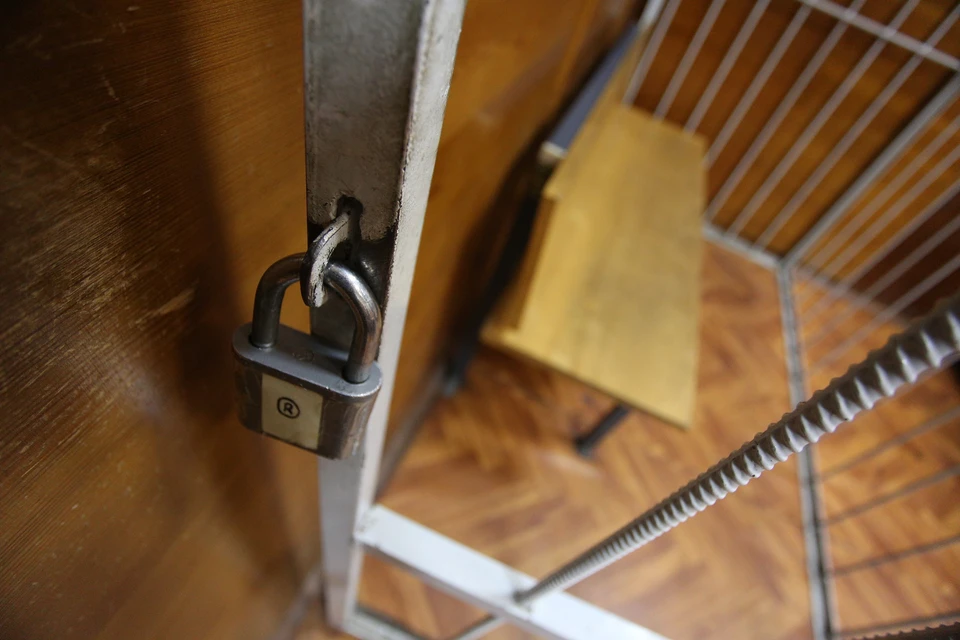 Обвиняемым грозит лишение свободы до десяти лет.