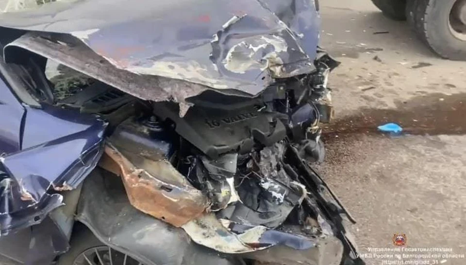 Фото Госавтоинспекции Белгородской области