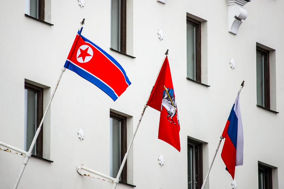 Глава МИД КНДР посетит Россию и Белоруссию