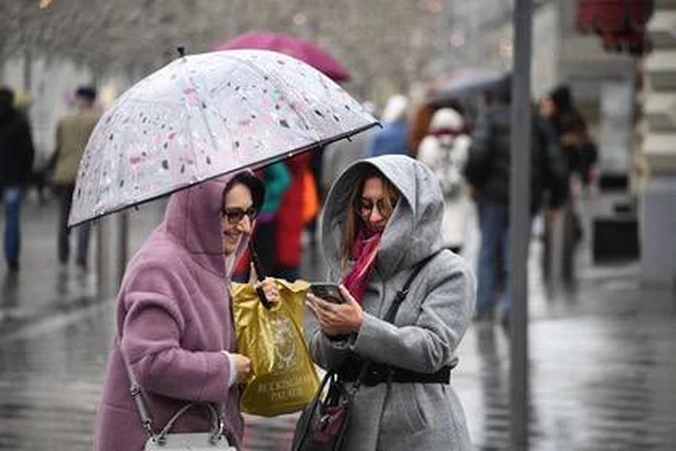 Небольшой дождь и ветер ожидаются на Ставрополье в начале рабочей недели