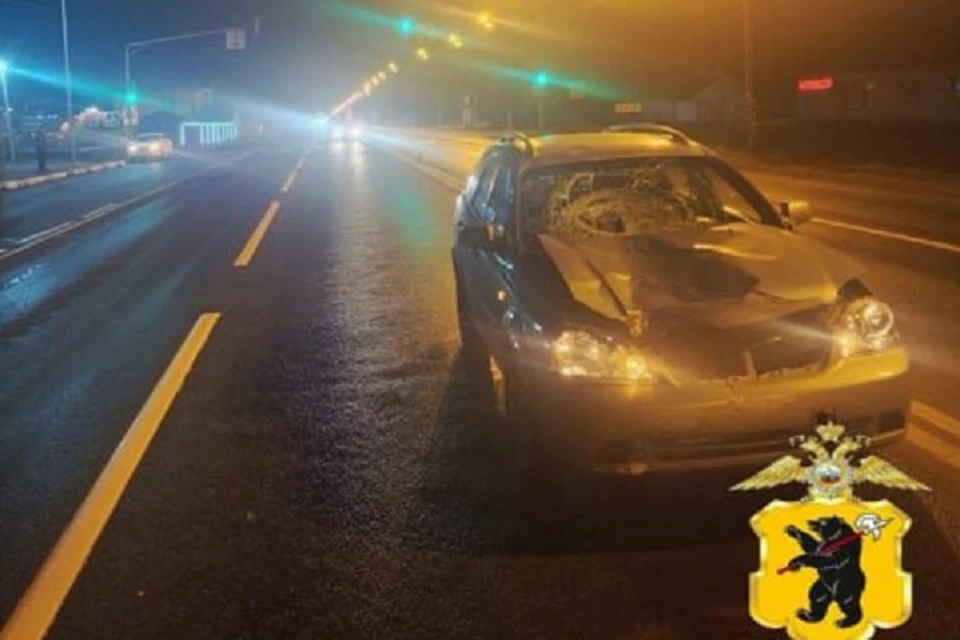 Пешеход погиб под колесами иномарки. Фото: УМВД РФ по Ярославской области.