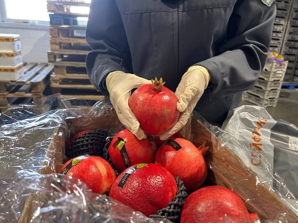 Фото: Управление Россельхознадзора по Красноярскому краю