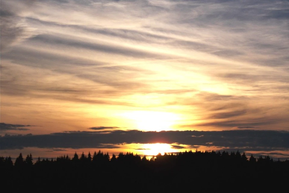 Силы ПВО сбили 41 беспилотник над Калужской областью за ночь.