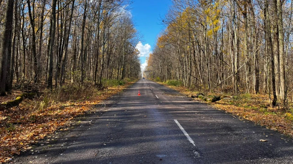 Фото - ГУ МВД по региону