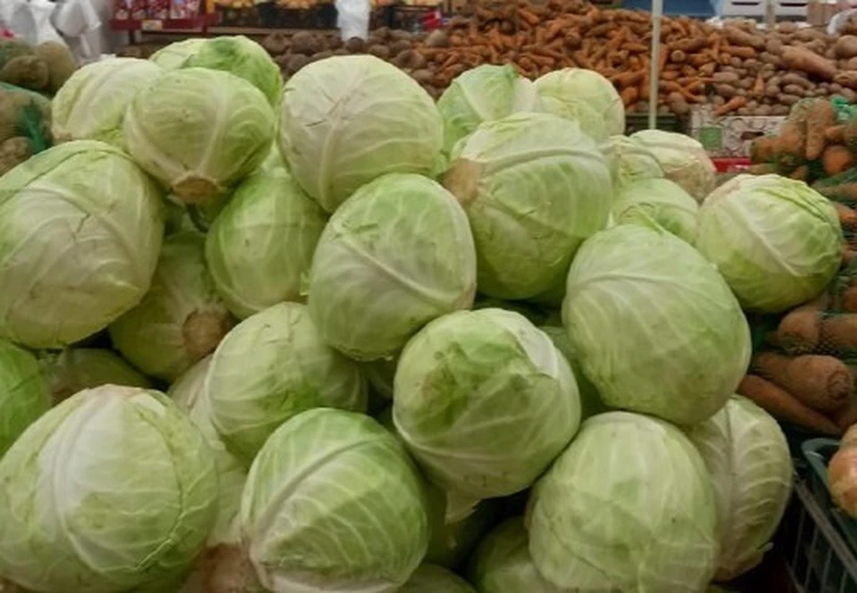 Капуста подешевела. Фото: sev.gov.ru