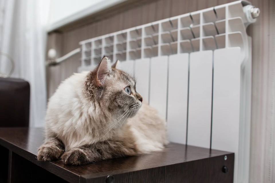 Отопление дали в половине домов