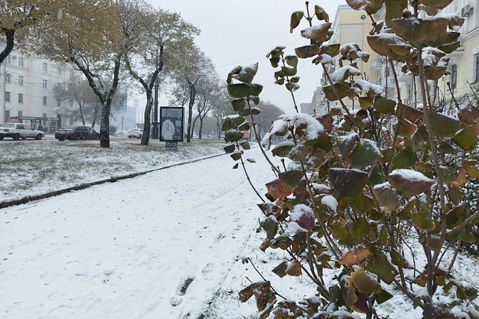 Около тысячи жителей Хабаровского края остались без электричества из-за циклона