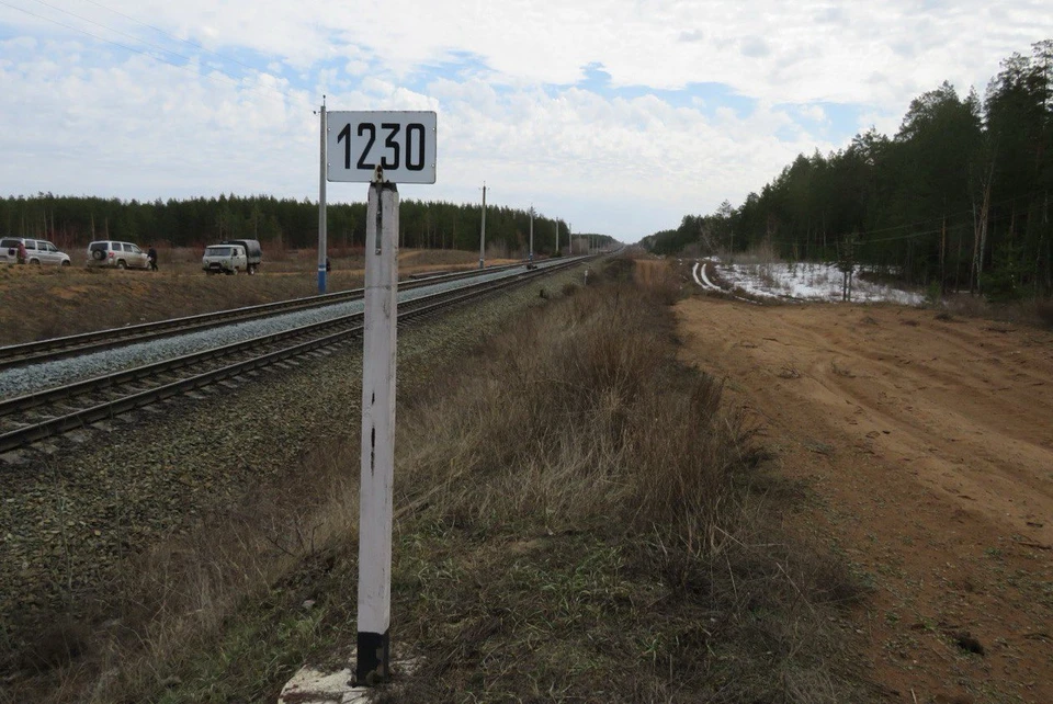 Только за последние три года в районе национального парка поездами было травмировано пять лосей. Фото: «Бузулукский бор»