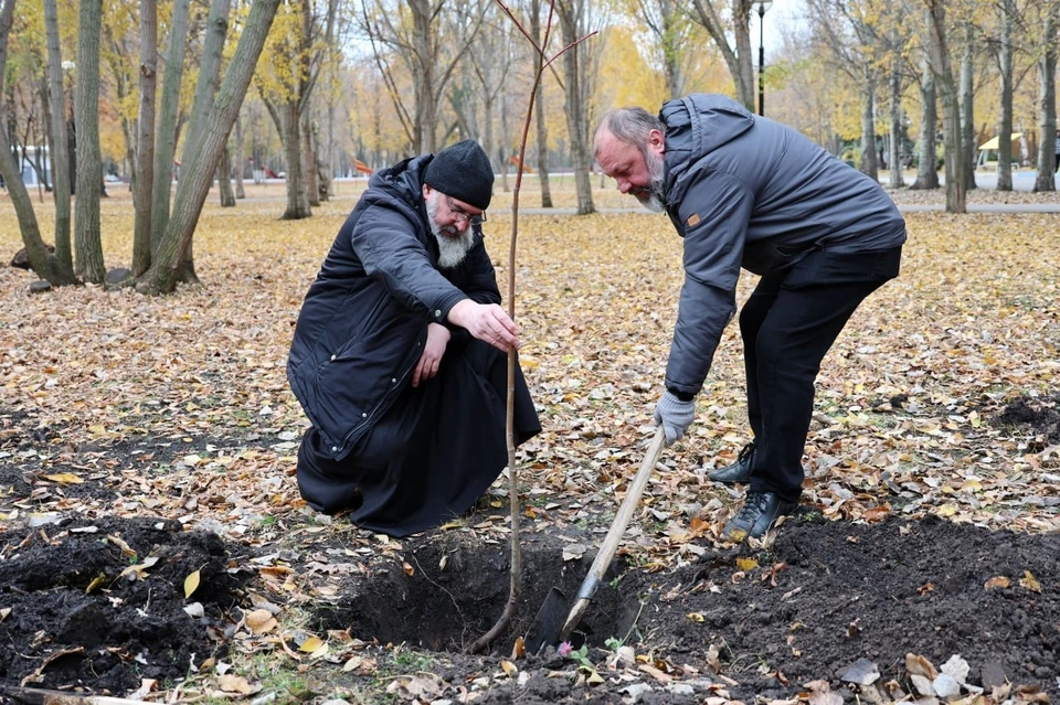 Общественники высадили липы в парке. Фото: администрация Самары