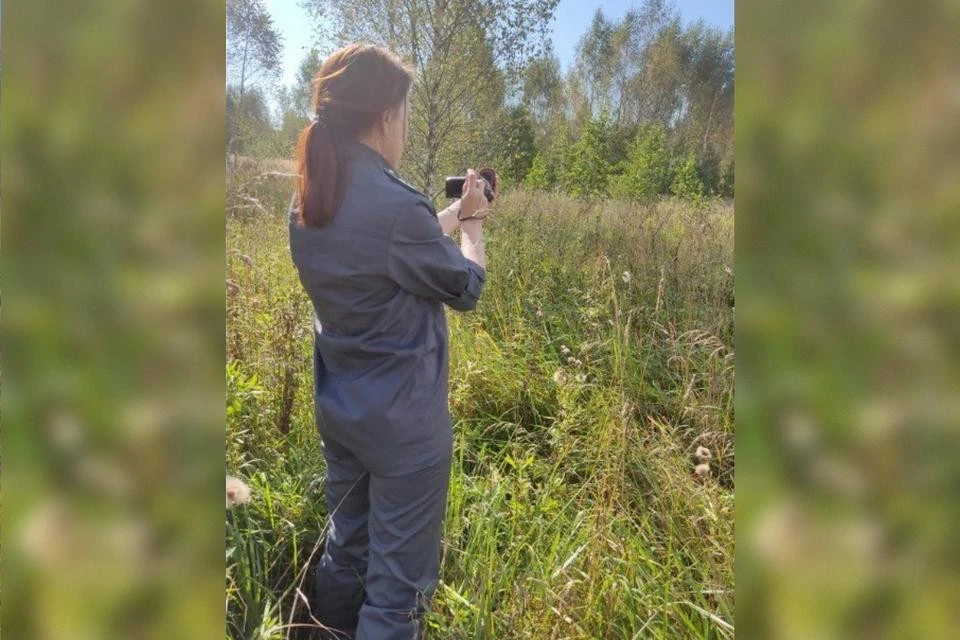 Суд принял решение изъять участок у собственника. Фото: Управление Россельхознадзора по Тверской и Ярославской областям