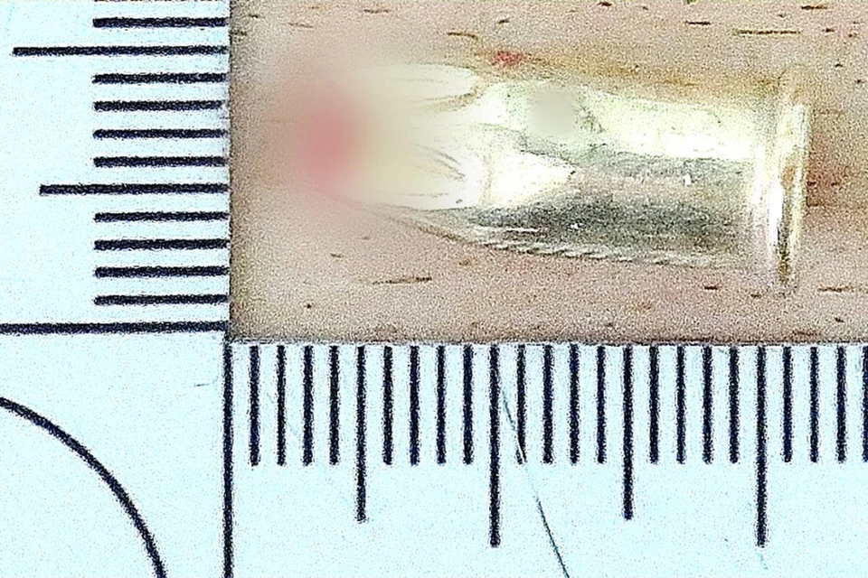 За поджог патрона в школе подростка оштрафовали на 30 тысяч рублей