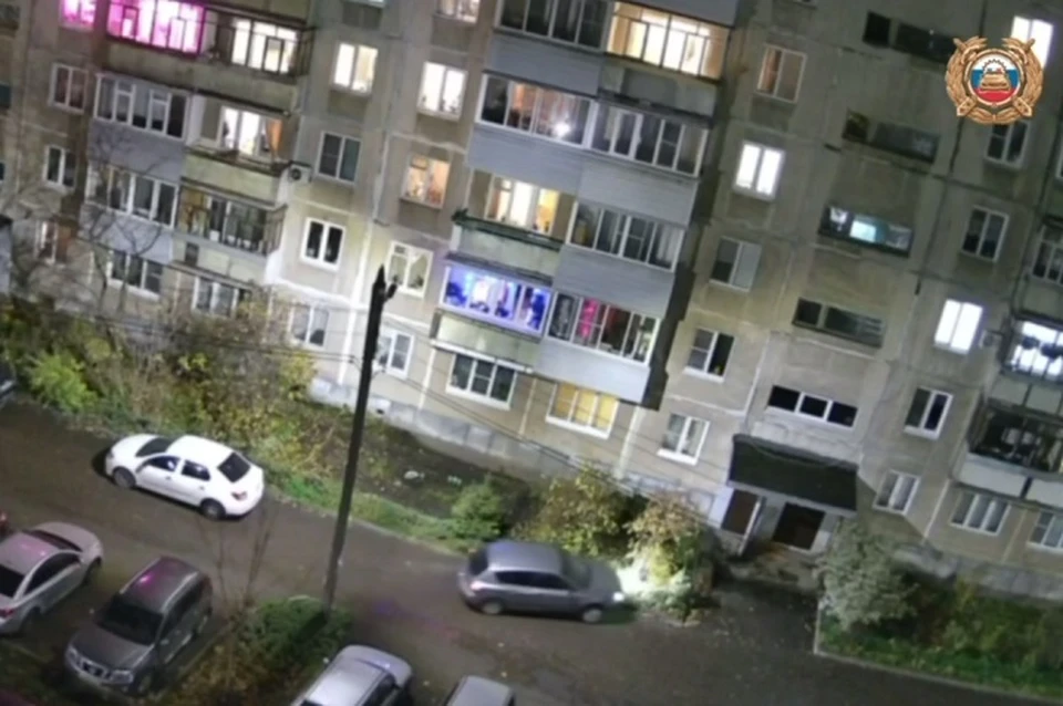 Пьяный ярославец пытался обмануть инспекторов. ФОТО: Ярославская Госавтоинспекция