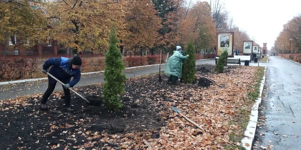 В Ульяновске продолжается осенний этап озеленения. Фото: тг-канал Городского центра по благоустройству и озеленению