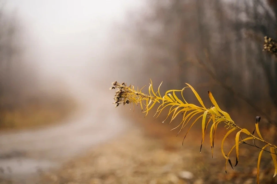 Город накроет густой туман