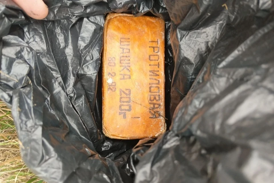 Тротил и запалы от гранат нашли у автобусной остановки. Фото: ГУ МВД России по ЗО