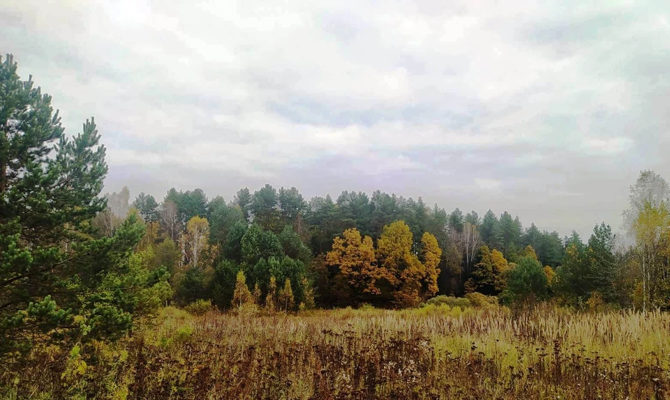 В регионе установилась типичная октябрьская погода.