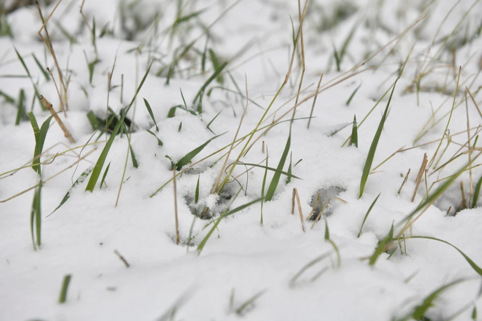 В Иркутской области ввели режим повышенной готовности из-за плохой погоды